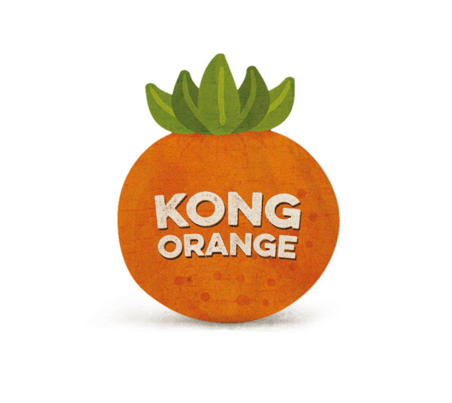 Kong Orange logo