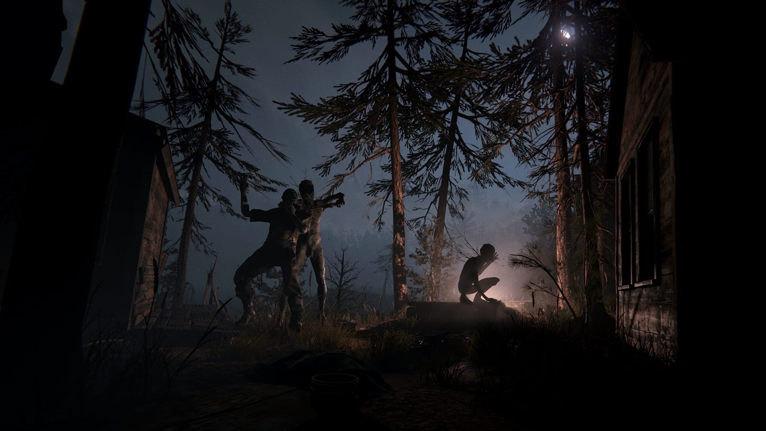Screenshot from Outlast II