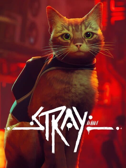 Cover art for Stray