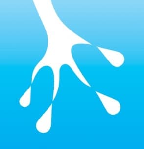 Rainy Frog logo